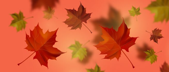 Homepage banner image