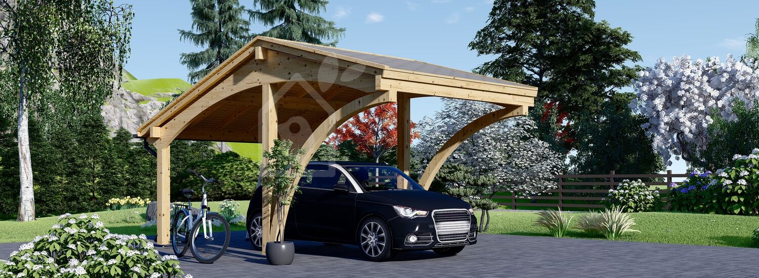 Single Wooden Carport CORA 3x5.9 m (10'x19'), 18 m² visualization 1