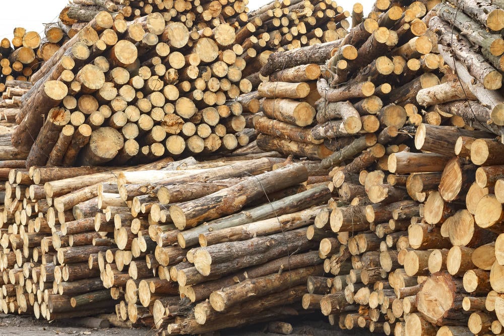 logs-for-log-cabin
